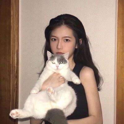英雄霸业传说游戏